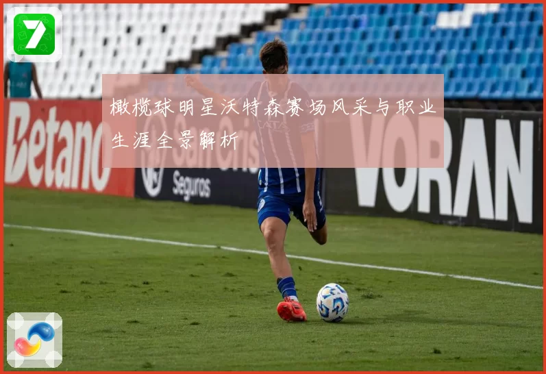 橄榄球明星沃特森赛场风采与职业生涯全景解析