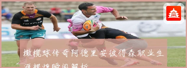 橄榄球传奇阿德里安彼得森职业生涯辉煌瞬间解析