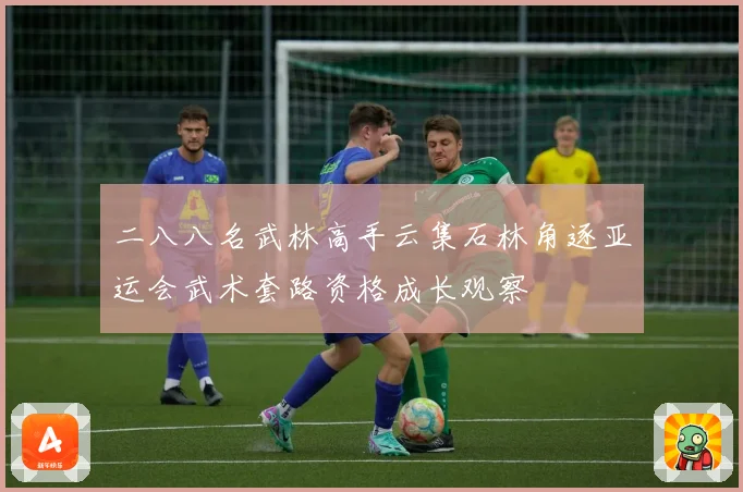 二八八名武林高手云集石林角逐亚运会武术套路资格成长观察