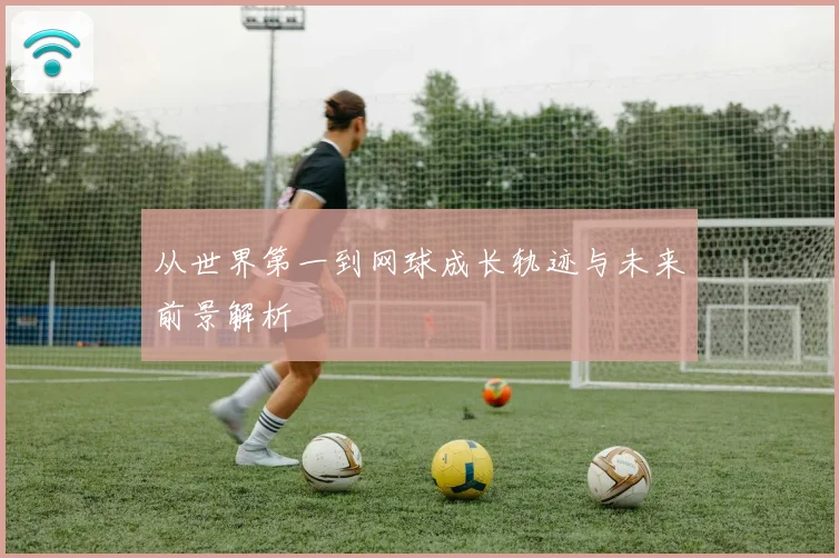 从世界第一到网球成长轨迹与未来前景解析