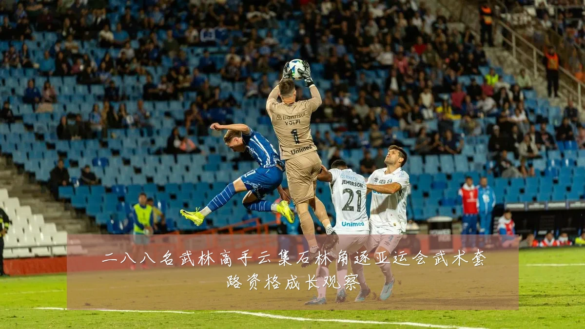 二八八名武林高手云集石林角逐亚运会武术套路资格成长观察