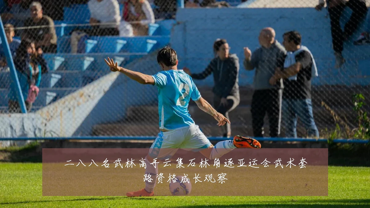 二八八名武林高手云集石林角逐亚运会武术套路资格成长观察