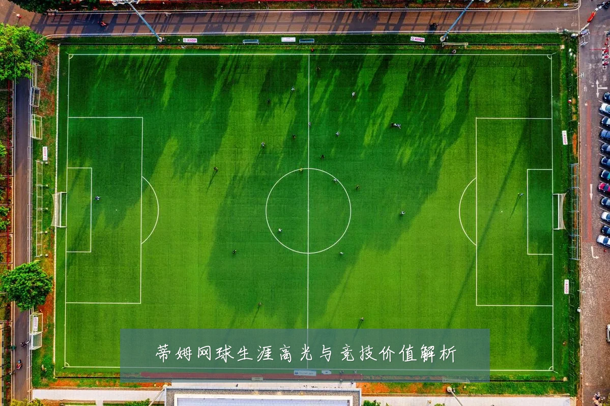 蒂姆网球生涯高光与竞技价值解析