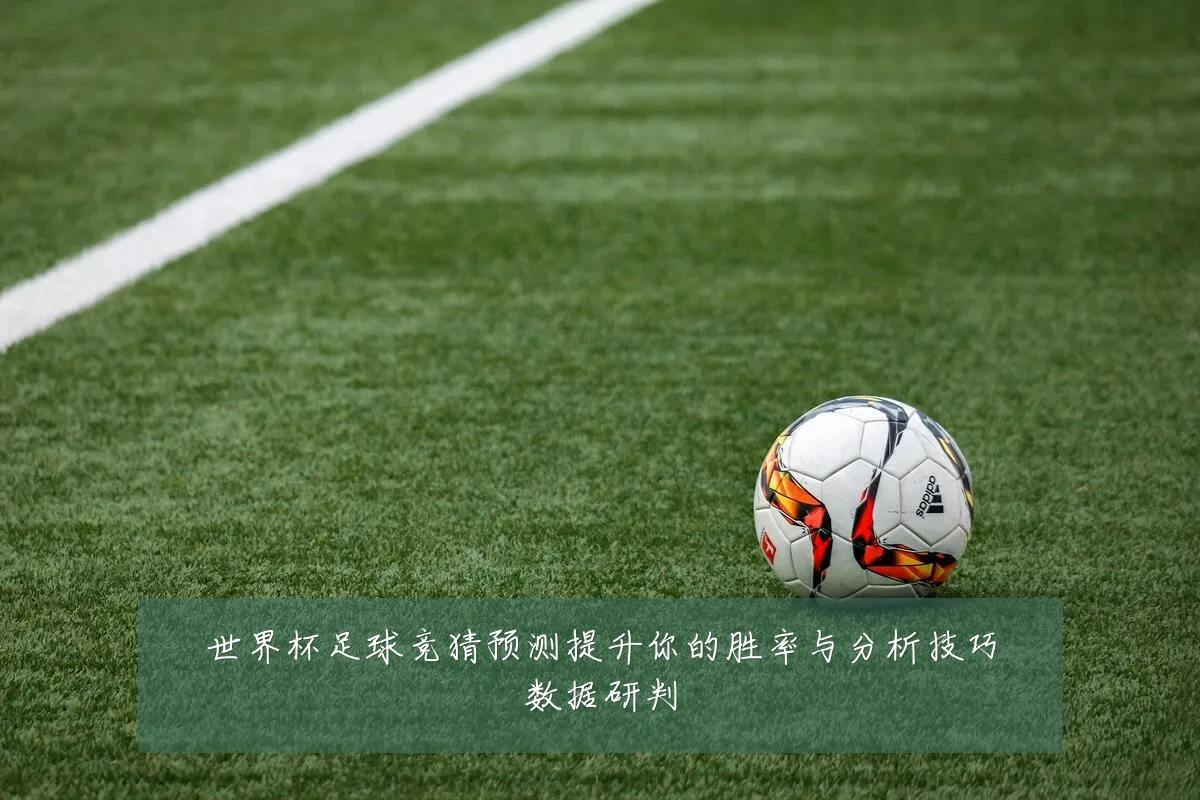 世界杯足球竞猜预测提升你的胜率与分析技巧数据研判